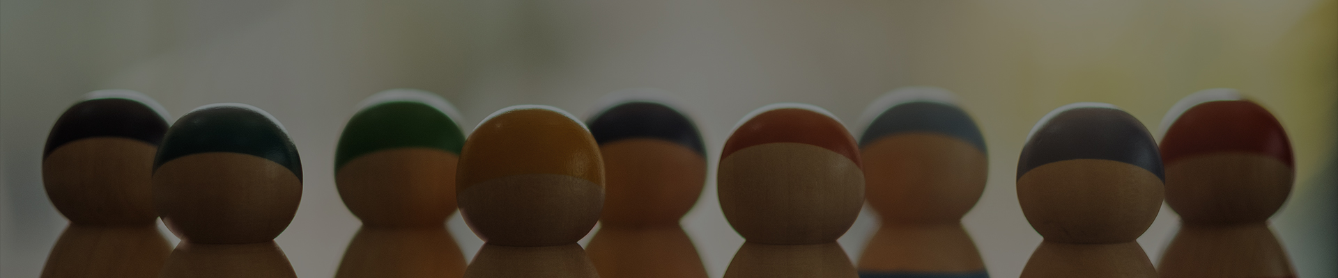 Shanghai Dengsheng Instrument Manufacturing Co., Ltd.