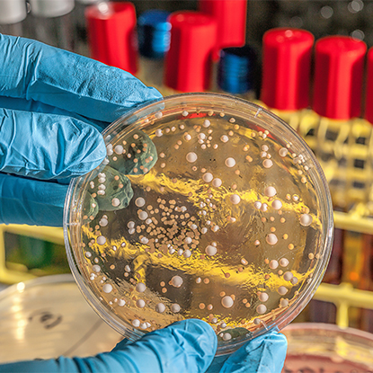 Pagkontrol sa Kalusugan at Sakit