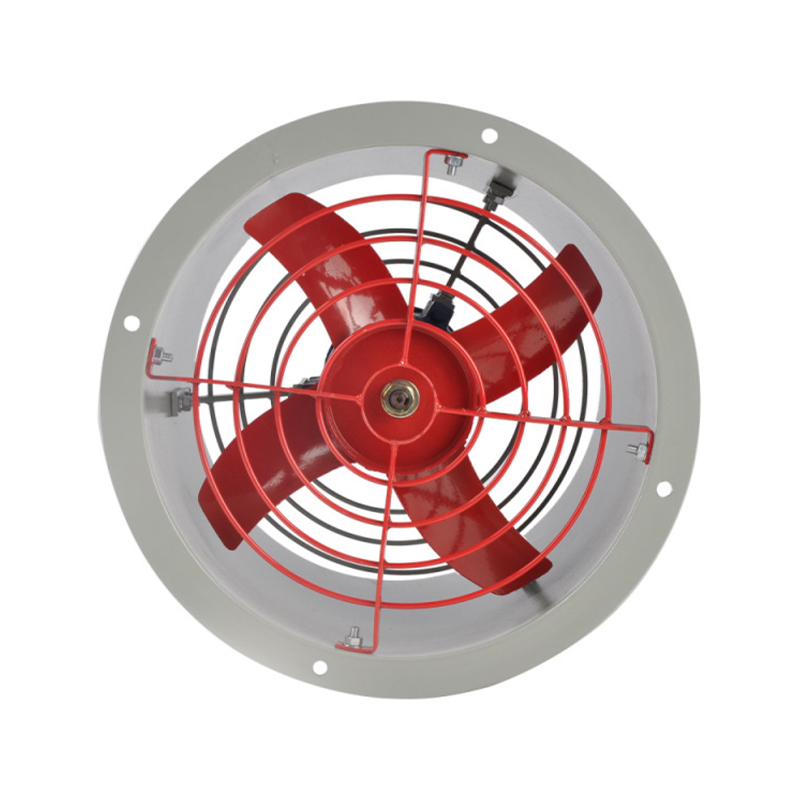 Precision structural design Mataas na kahusayan Explosion-proof Blower